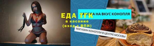 тгк Богданович