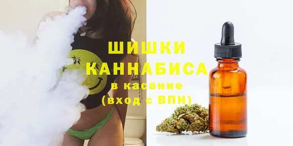 меф Богородицк