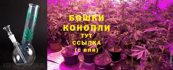 тгк Богданович