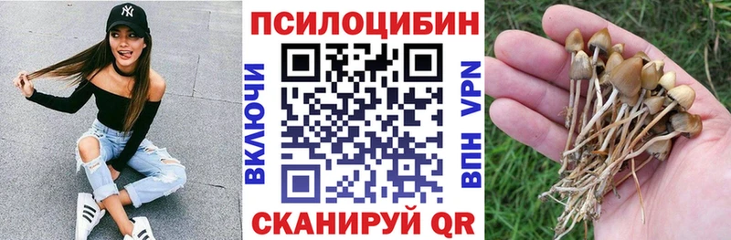 Псилоцибиновые грибы GOLDEN TEACHER  Княгинино 
